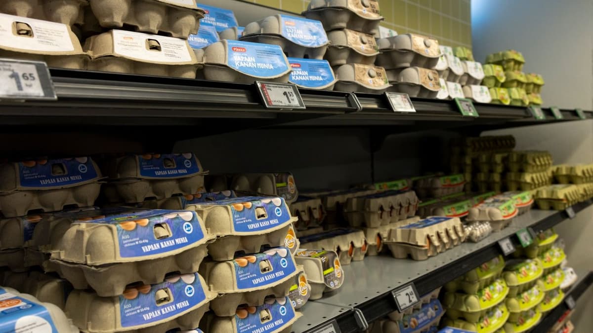 Ostitko tämän kananmunapaketin? Tarkista se heti